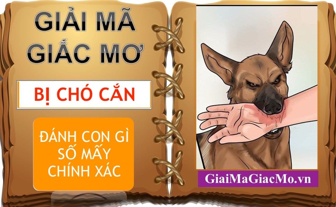 Mơ chó cắn đánh con gì - Những diễn biến và ý nghĩa