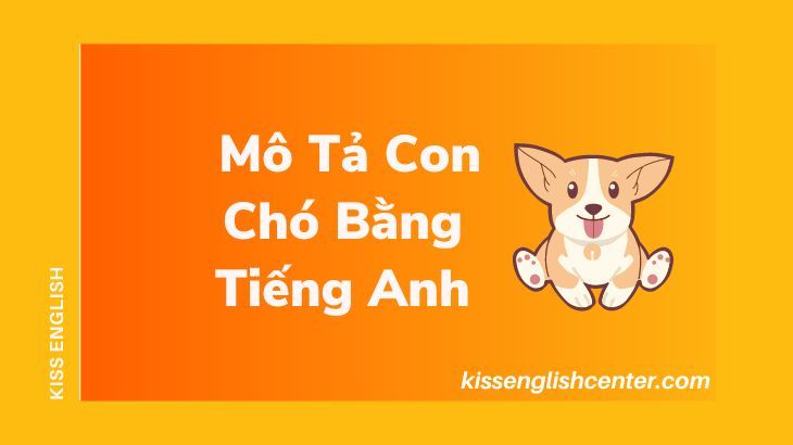 Mô tả con chó bằng tiếng Anh: Tất tần tật kiến thức