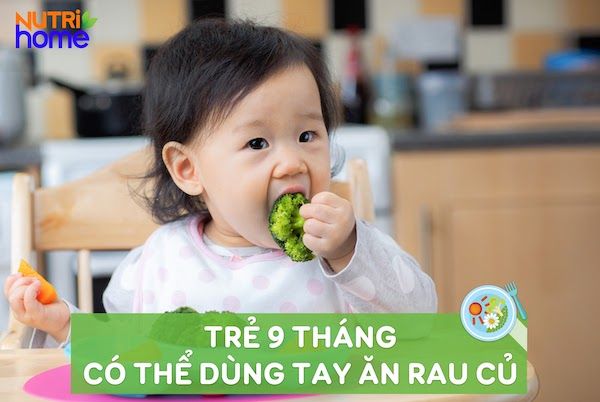 Món ăn cho bé 9 tháng tăng cân - Những gợi ý cho bữa ăn dinh dưỡng