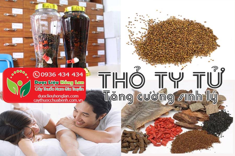 Mua thỏ ở Tây Ninh - Hướng dẫn chi tiết và địa chỉ uy tín