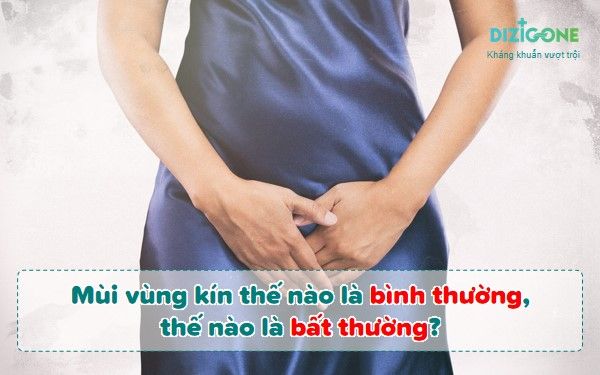 Mùi khắm là gì? Tìm hiểu về đặc tính và tác động của mùi khắm