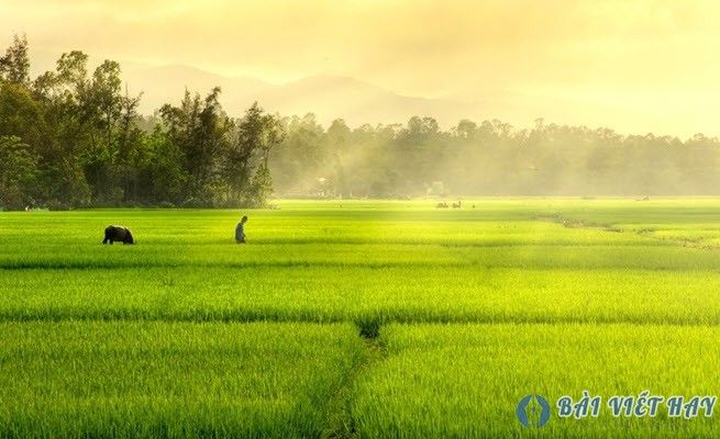 Ngày đã dài từ lúc vắng em càng thêm dài - Tìm hiểu nguyên nhân và cách giảm thiểu cảm giác nhớ nhung