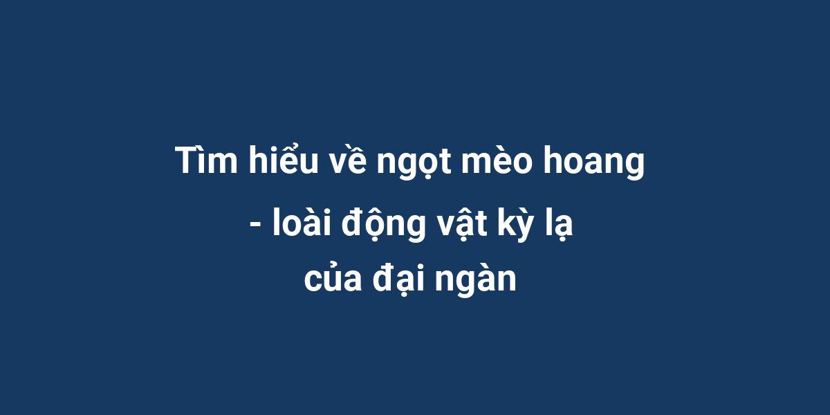 Tìm hiểu về ngọt mèo hoang - loài động vật kỳ lạ của đại ngàn