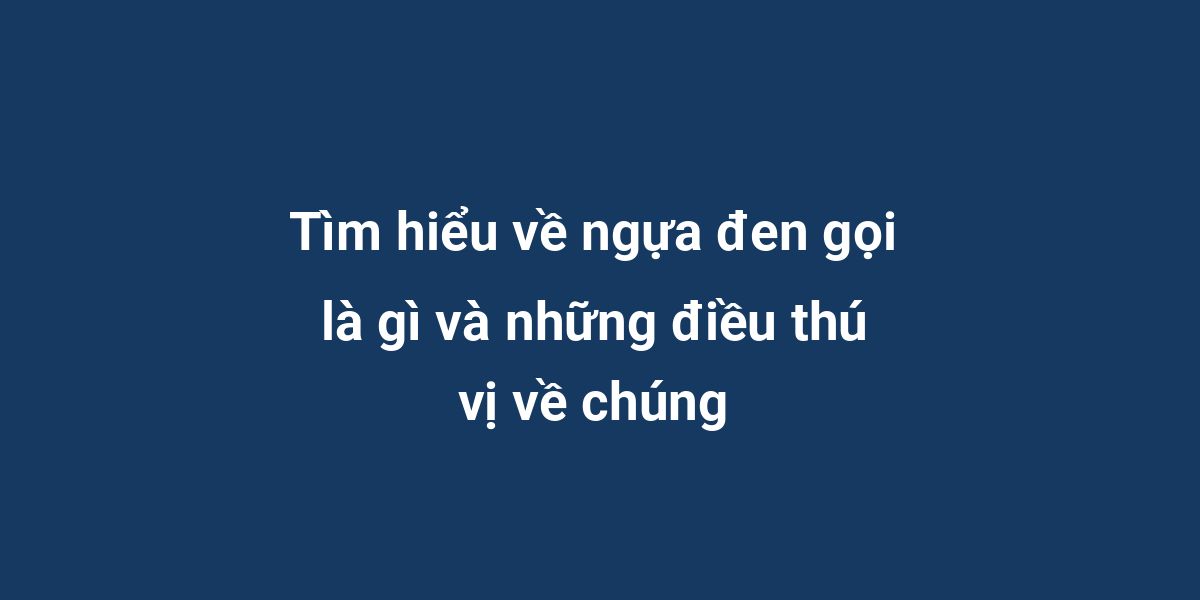 Tìm hiểu về ngựa đen gọi là gì và những điều thú vị về chúng