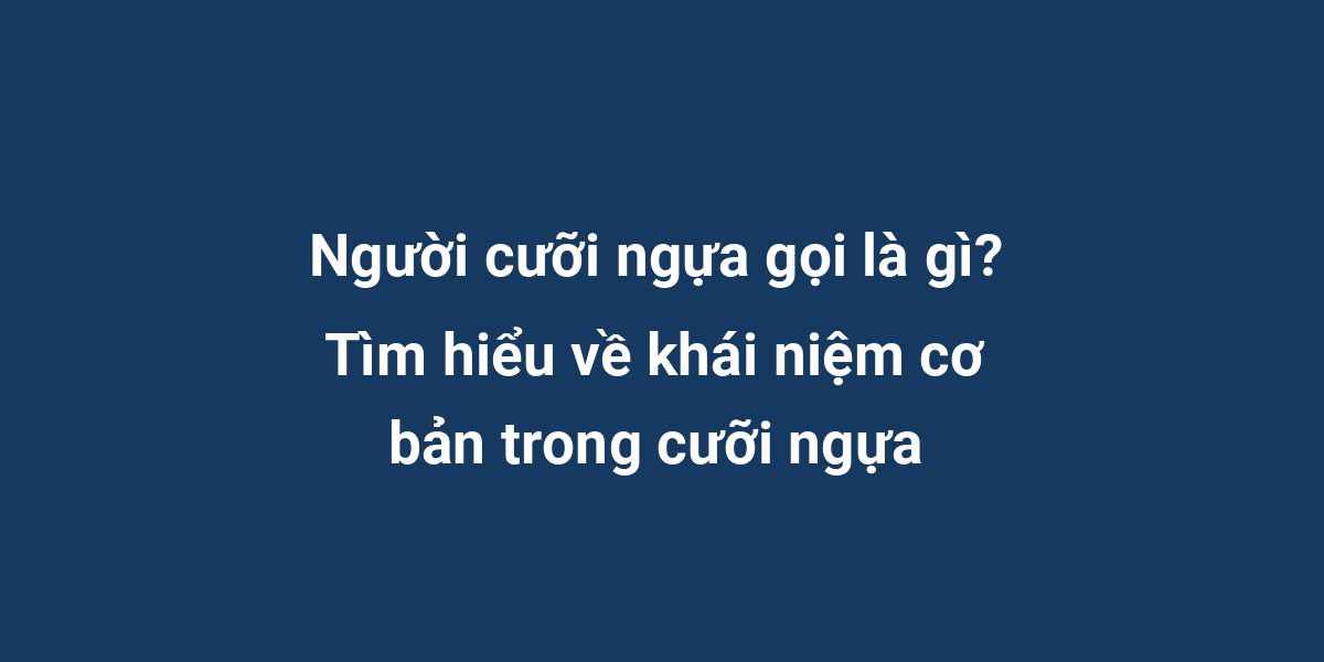 Người cưỡi ngựa gọi là gì? Tìm hiểu về khái niệm cơ bản trong cưỡi ngựa