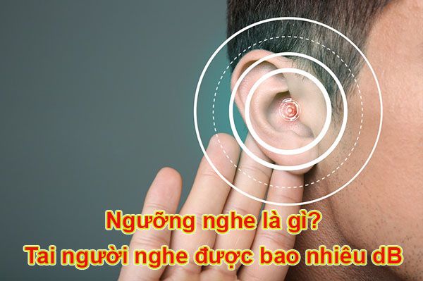 Tìm hiểu về ngưỡng nghe của con người và sức ảnh hưởng đến sức khỏe