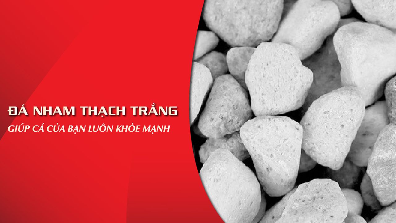 Tìm hiểu về nham thạch trắng - Các tính năng và ứng dụng