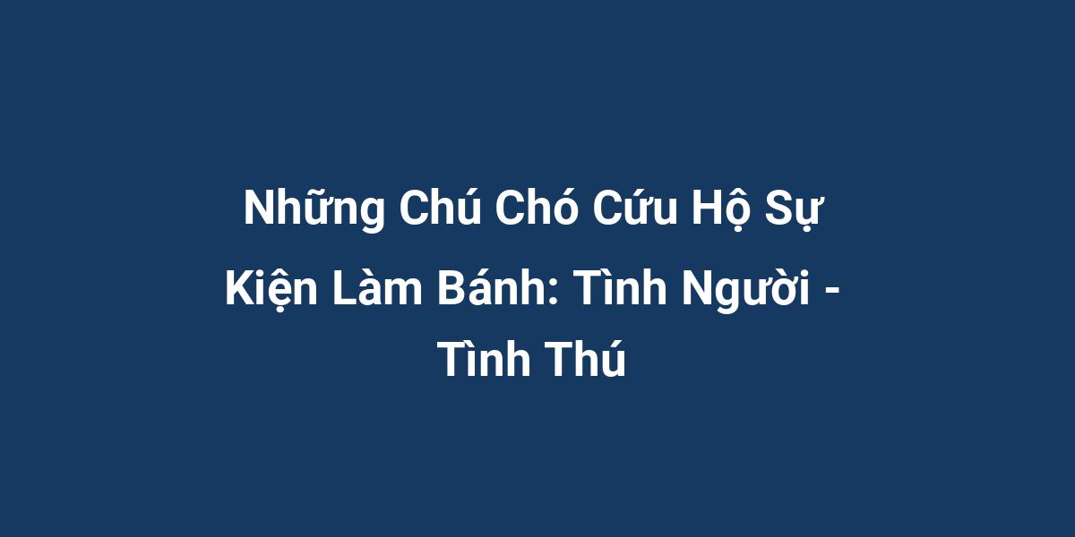 Những Chú Chó Cứu Hộ Sự Kiện Làm Bánh: Tình Người - Tình Thú