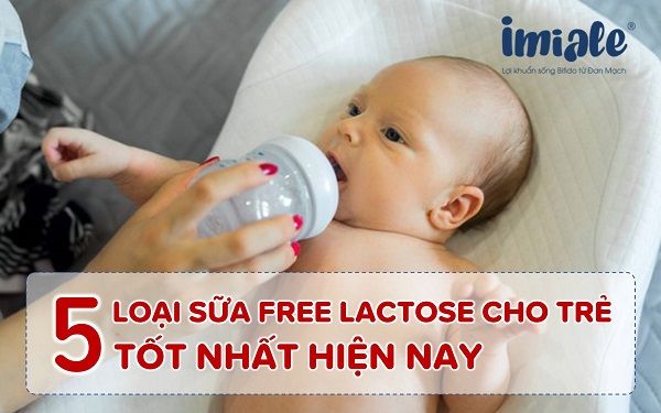 Những loại sữa không có lactose: Danh sách sữa tốt cho người mẫn cảm