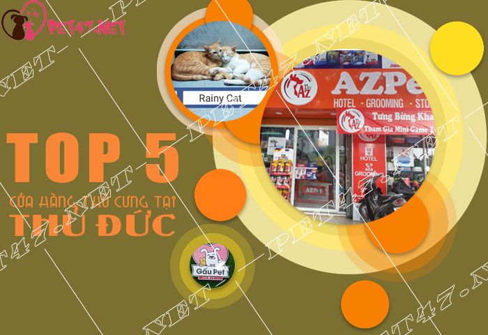 Tìm hiểu các shop bán thú cưng uy tín cho bạn và những người yêu thú cưng của bạn