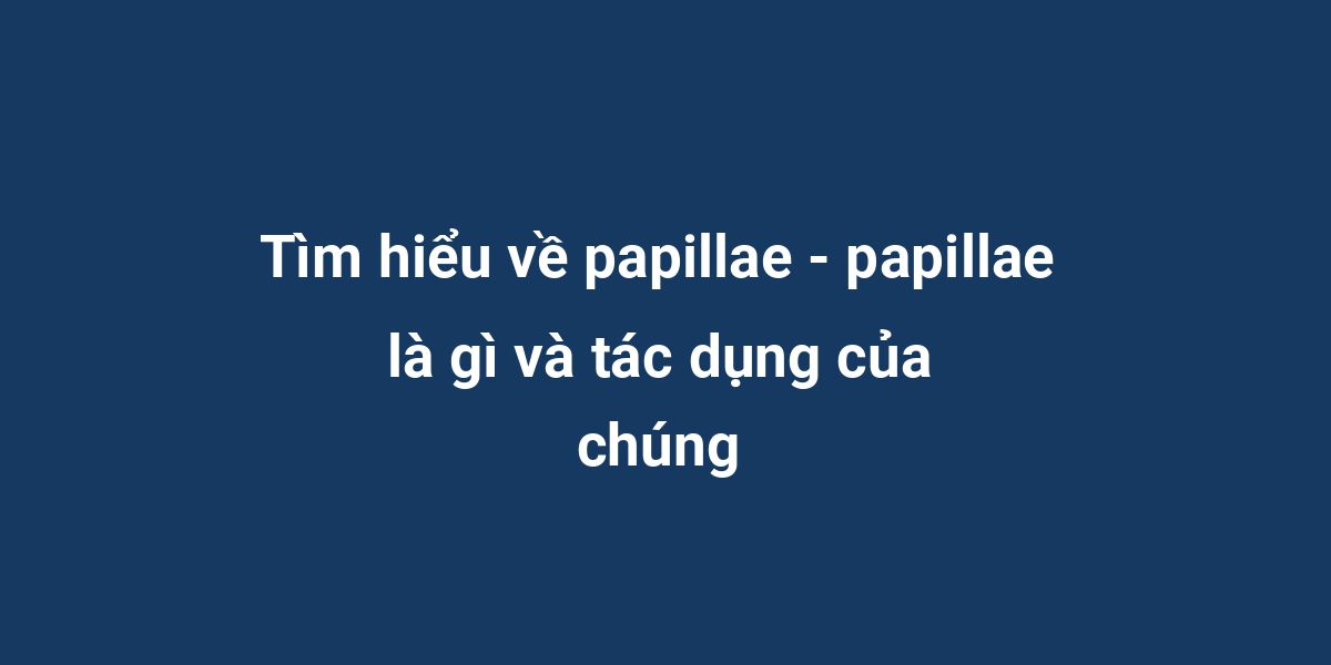 Tìm hiểu về papillae - papillae là gì và tác dụng của chúng