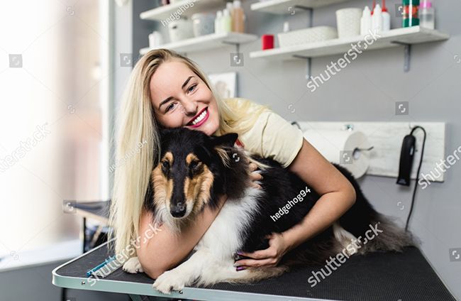 Tìm hiểu về Pet Mart Chả Cá - cửa hàng thú cưng đáng tin cậy