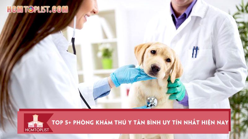 Tìm hiểu về Pet Pro Cộng Hòa - Dịch vụ chăm sóc thú cưng chuyên nghiệp