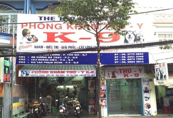 Phòng khám thú y K9 quận 4 - Nơi chăm sóc sức khỏe cho thú cưng của bạn