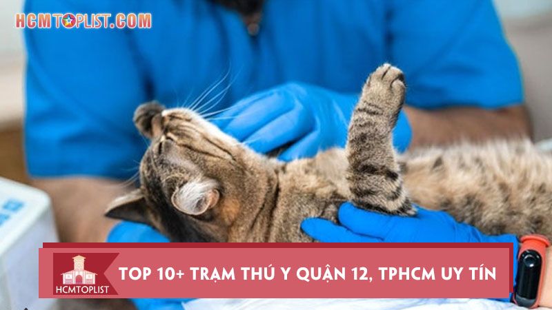 Phòng khám thú y quận 12 - Chuyên trị bệnh cho thú cưng của bạn