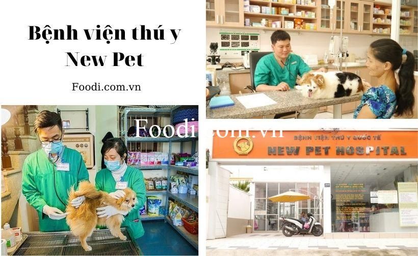 Phòng khám thú y Sagovet - Địa chỉ tin cậy cho sức khỏe thú cưng của bạn