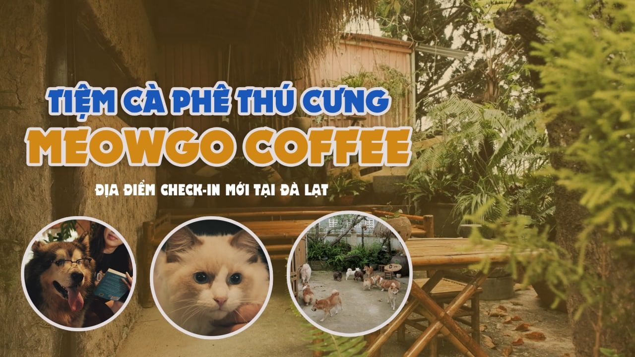 Khám phá quán cafe thú cưng gần đây - Địa điểm lý tưởng dành cho bạn và cún cưng của bạn