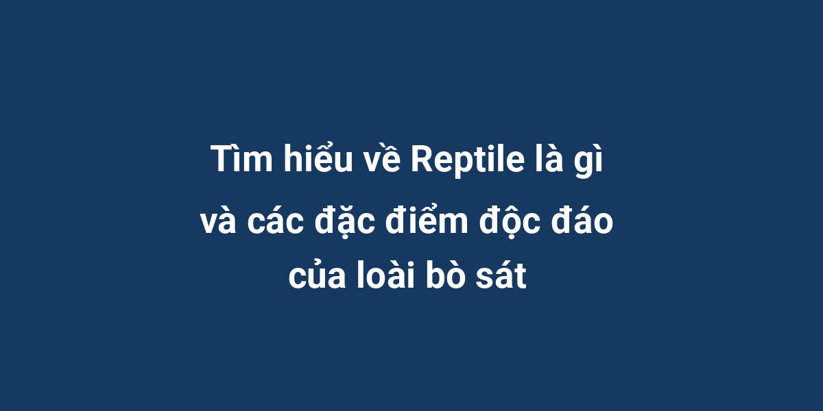 Tìm hiểu về Reptile là gì và các đặc điểm độc đáo của loài bò sát