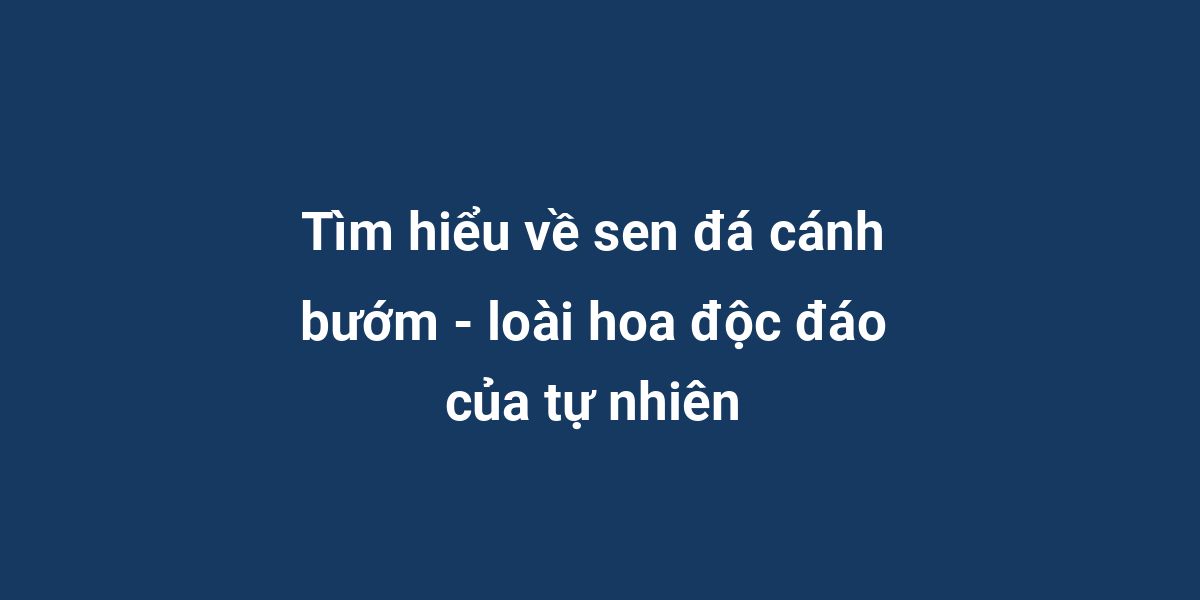 Tìm hiểu về sen đá cánh bướm - loài hoa độc đáo của tự nhiên