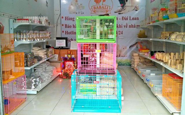 Shop Thú Cưng Babali - Nơi Cập Nhật Thông Tin & Sản Phẩm Chất Lượng Cho Boss Lông Lụa Của Bạn