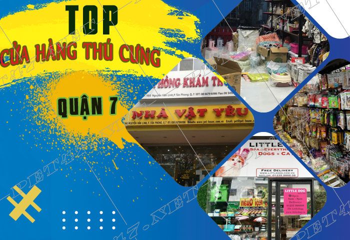 Tìm hiểu địa chỉ và đánh giá về shop thú cưng quận 3