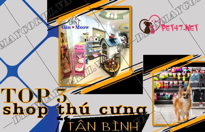 Danh sách các shop thú cưng quận Bình Tân nổi tiếng