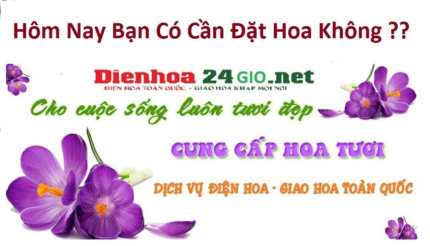 Sự hoàn hảo của shop tuticare đà nẵng - Cựu sinh viên tốt cần biết