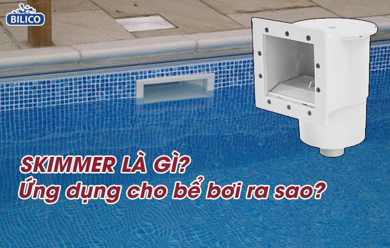 Skimmer là gì? Thông tin cần biết về skimmer