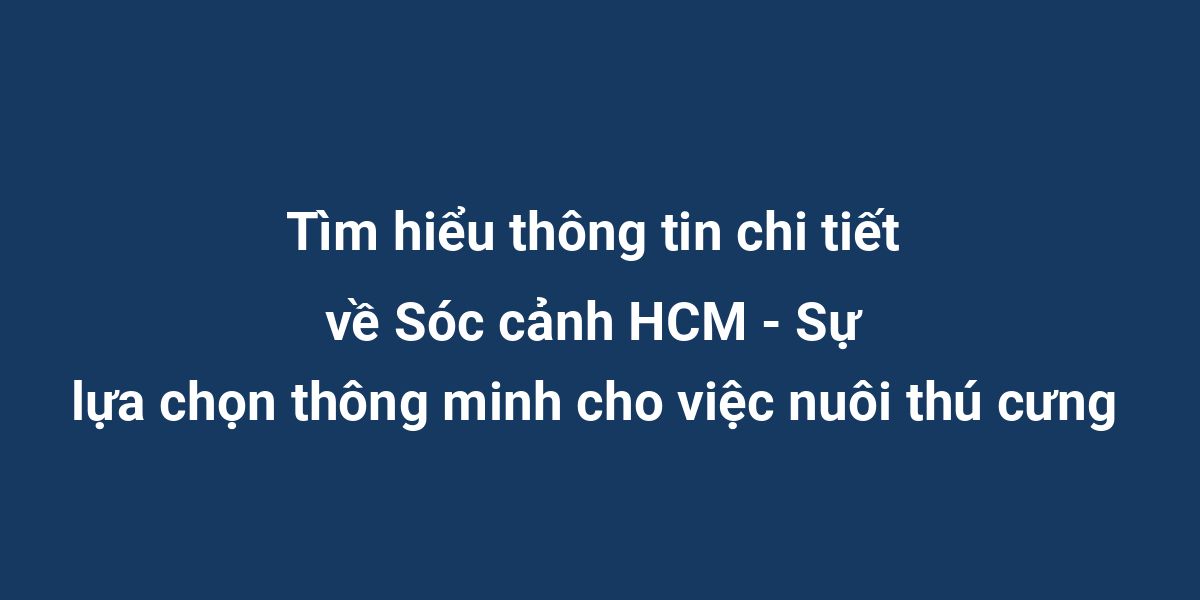 Tìm hiểu thông tin chi tiết về Sóc cảnh HCM - Sự lựa chọn thông minh cho việc nuôi thú cưng