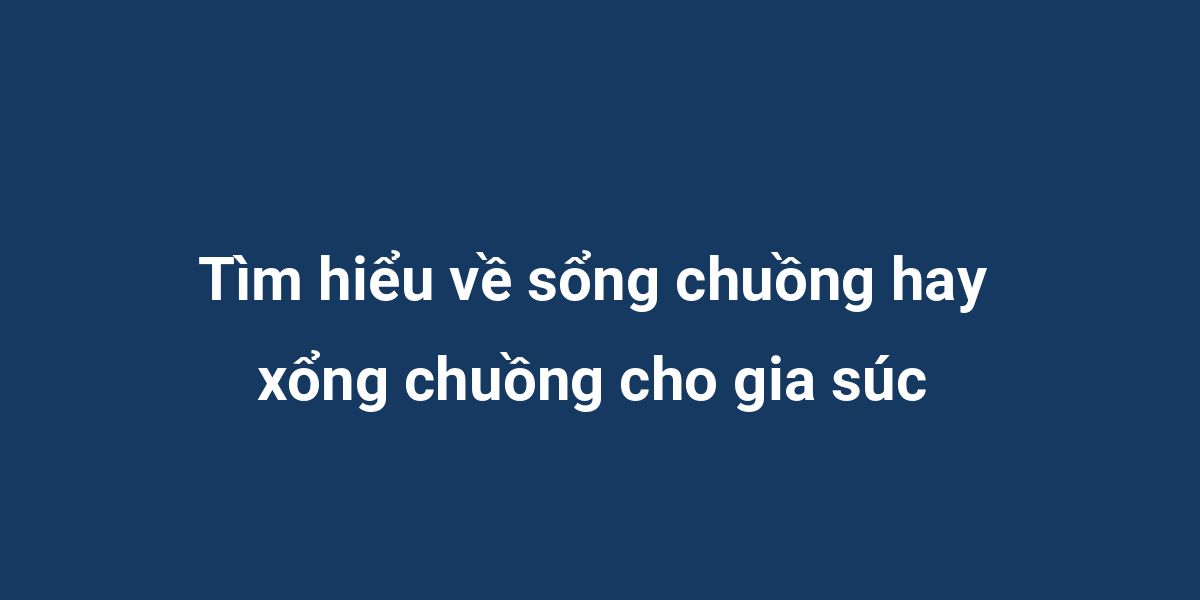 Tìm hiểu về sổng chuồng hay xổng chuồng cho gia súc