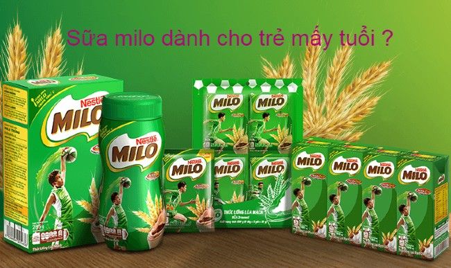 Tìm hiểu về sữa Milo dành cho người lớn và lợi ích đáng kinh ngạc của nó