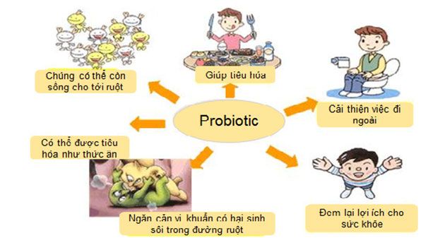 Tìm hiểu về lợi ích sữa non probiotic cho sức khỏe