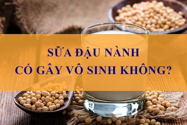 Tìm hiểu về sữa pha mi và lợi ích cho sức khỏe