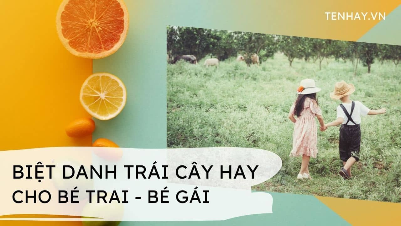 Top 10 tên trái cây dễ thương cần biết