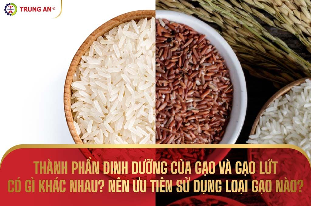 Thành phần dinh dưỡng trong cơm - Tổng quan về các chất cần thiết cho sức khỏe