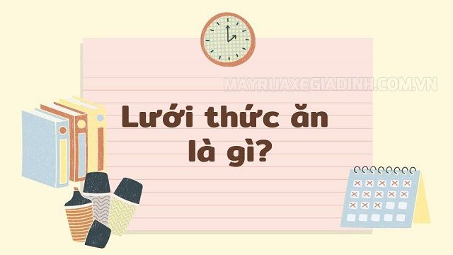 Thế nào là lưới thức ăn cho ví dụ? Hướng dẫn cho người mới