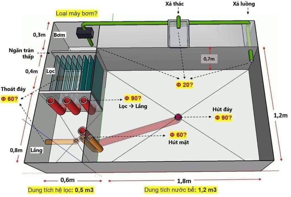 Thiết kế hồ cá koi tạo nên không gian yên bình và đẹp mắt