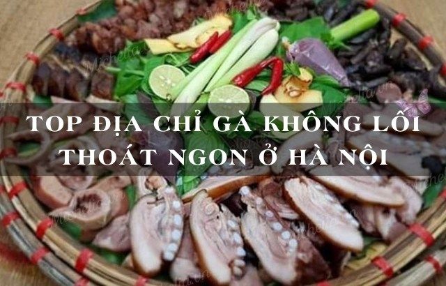 Tìm hiểu về thịt chó ngã tư sở - Một sự thật đáng lo ngại?