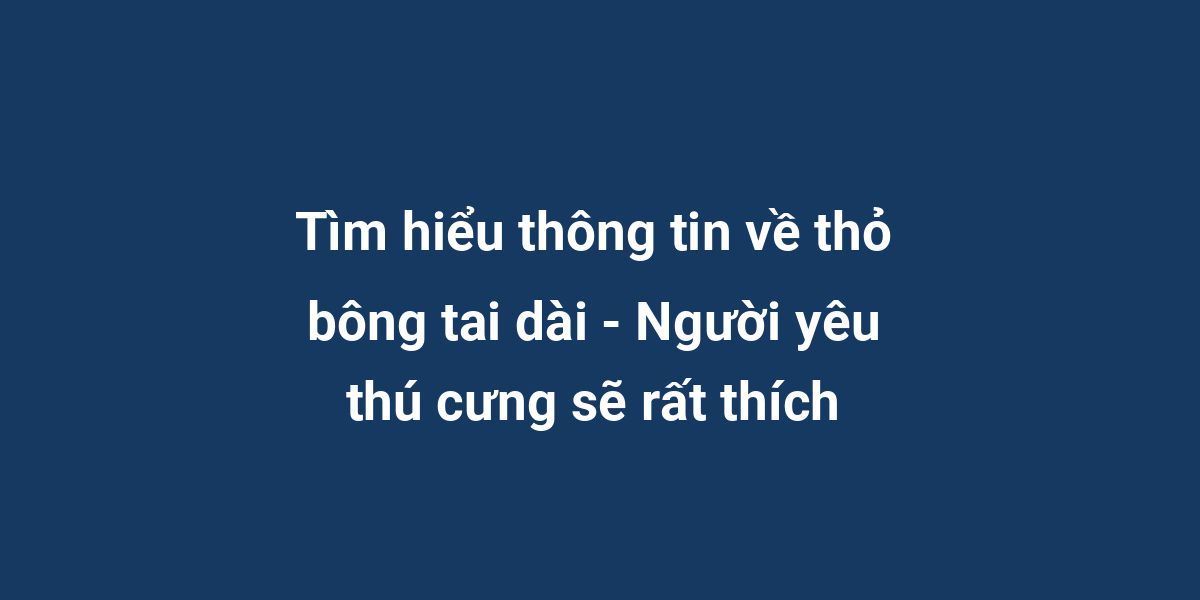 Tìm hiểu thông tin về thỏ bông tai dài - Người yêu thú cưng sẽ rất thích