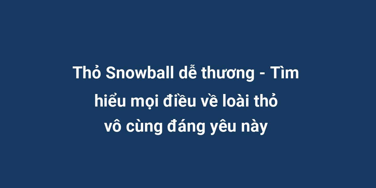 Thỏ Snowball dễ thương - Tìm hiểu mọi điều về loài thỏ vô cùng đáng yêu này