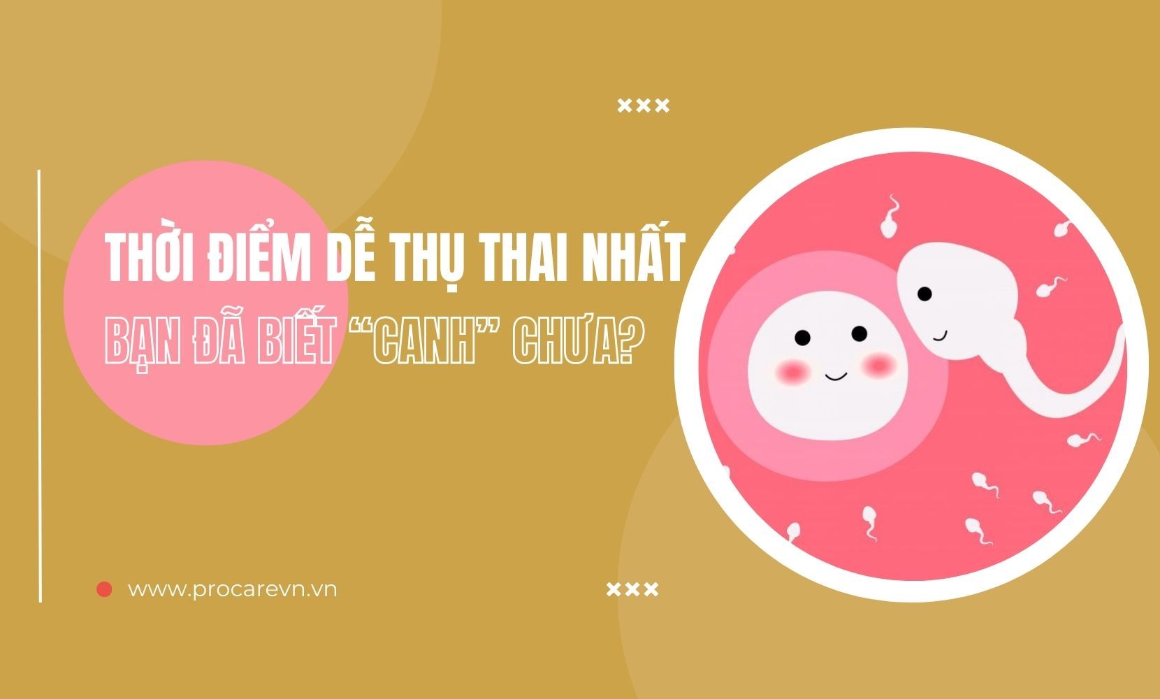 Thời gian dê mang thai: Bí quyết chuẩn bị cho sự sinh sản thành công