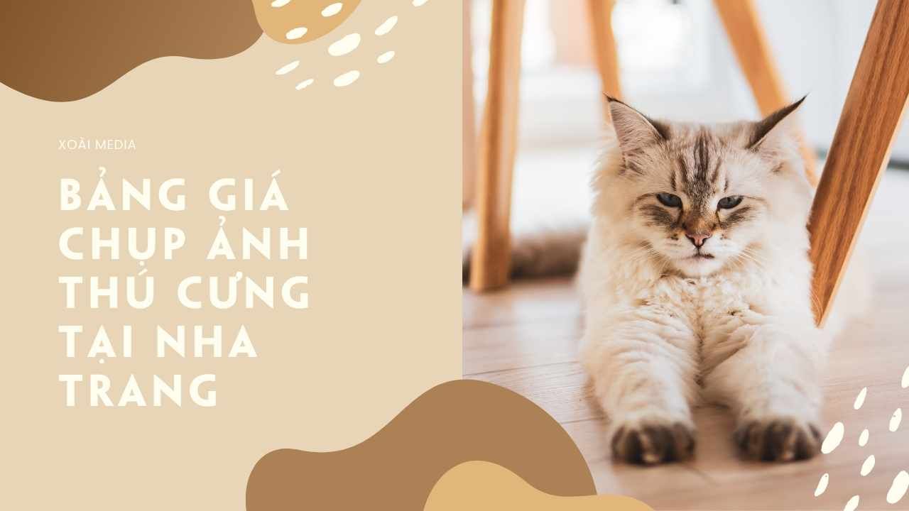 Thú cưng Nha Trang - Tìm hiểu và chăm sóc cho vật nuôi của bạn tại thành phố biển