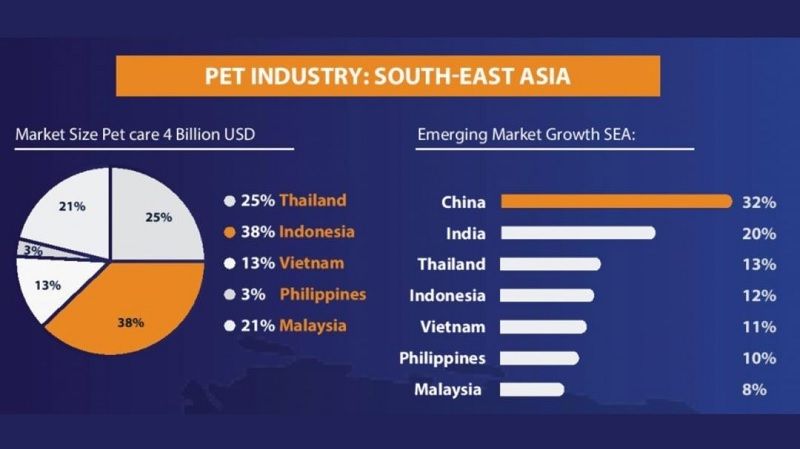 Thú cưng ở Việt Nam - Những thông tin cần biết cho chủ nuôi yêu quý