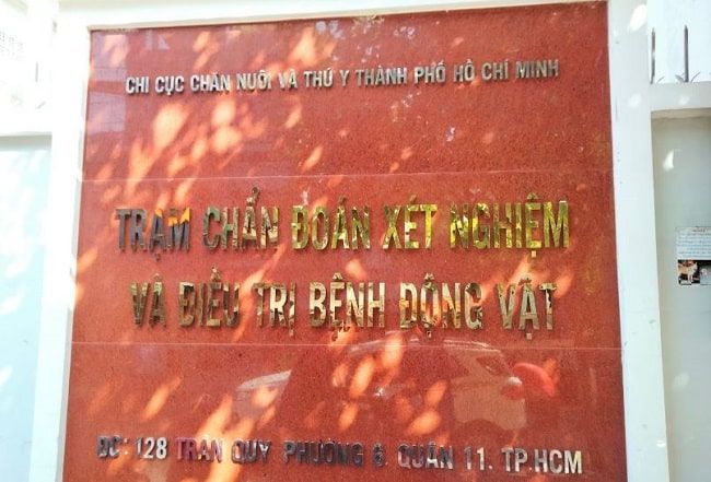 Thú y 128 Trần Quý: Thông tin đầy đủ về bệnh viện thú y hàng đầu