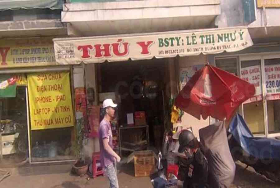 Thú y Như Ý Quận 4 – Địa chỉ uy tín cho sức khỏe thú cưng