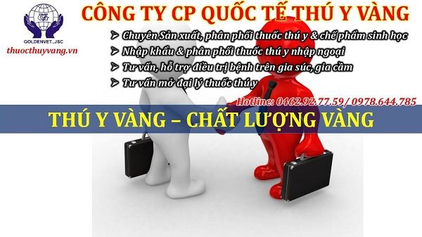 Tìm hiểu về thú y vàng và những thông tin cần biết về chúng