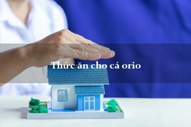 Thông tin về thức ăn cho cá OriO - Cách chăm sóc đúng cách