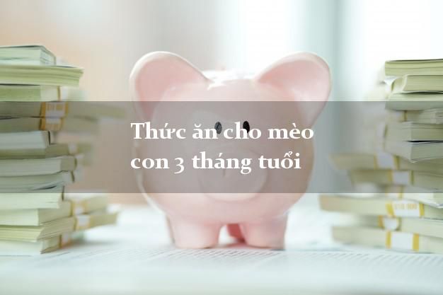 Thức ăn cho mèo 3 tháng tuổi: Những lưu ý quan trọng cần biết