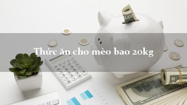 Thực đơn dinh dưỡng cho mèo bao 20kg - Cập nhật thông tin thức ăn cho mèo béo