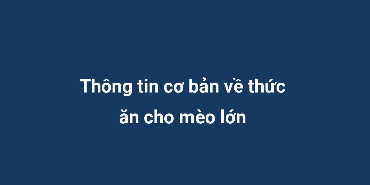 Thông tin cơ bản về thức ăn cho mèo lớn